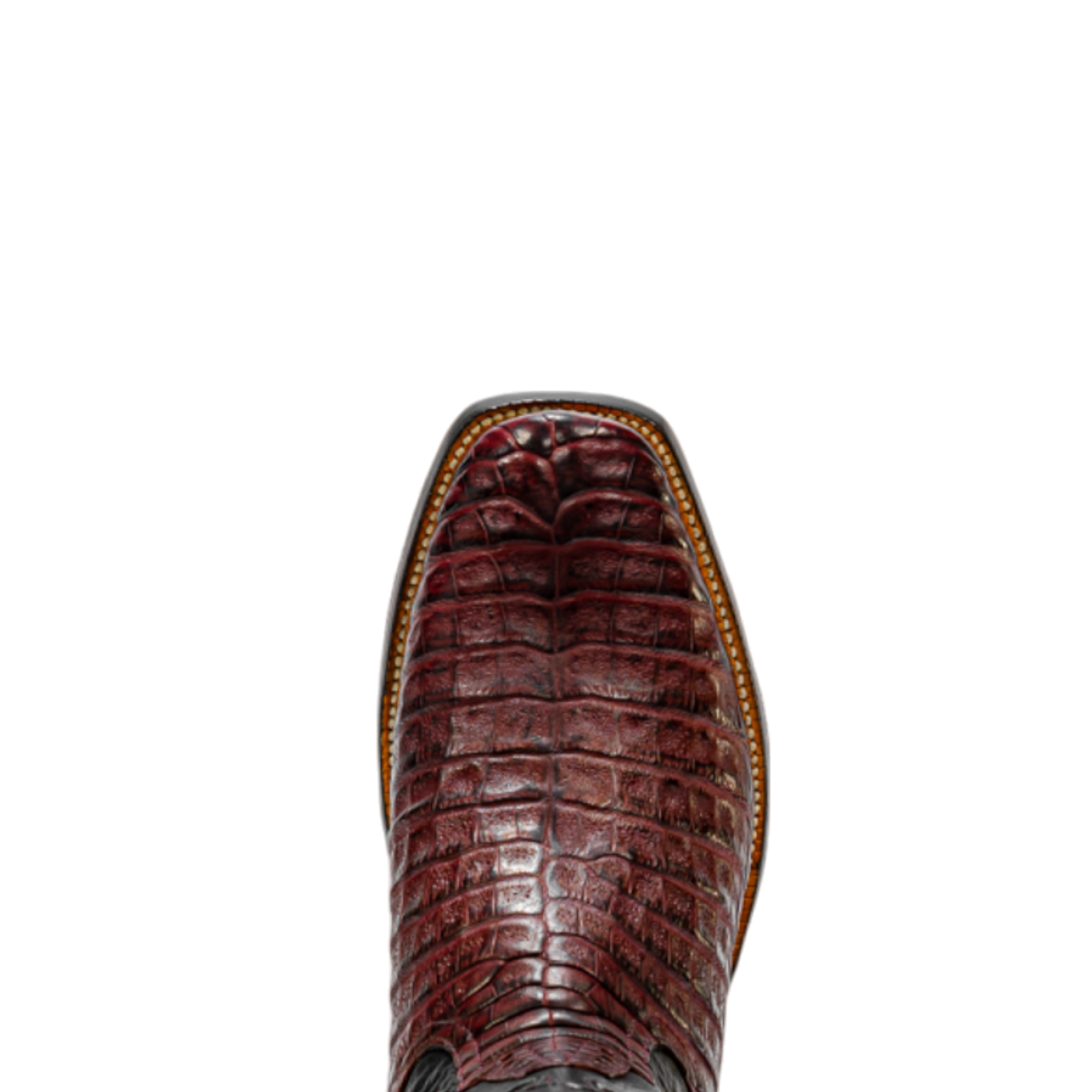 ROD PATRICK 19845 BORDEAUX BELLY CAIMAN (D)